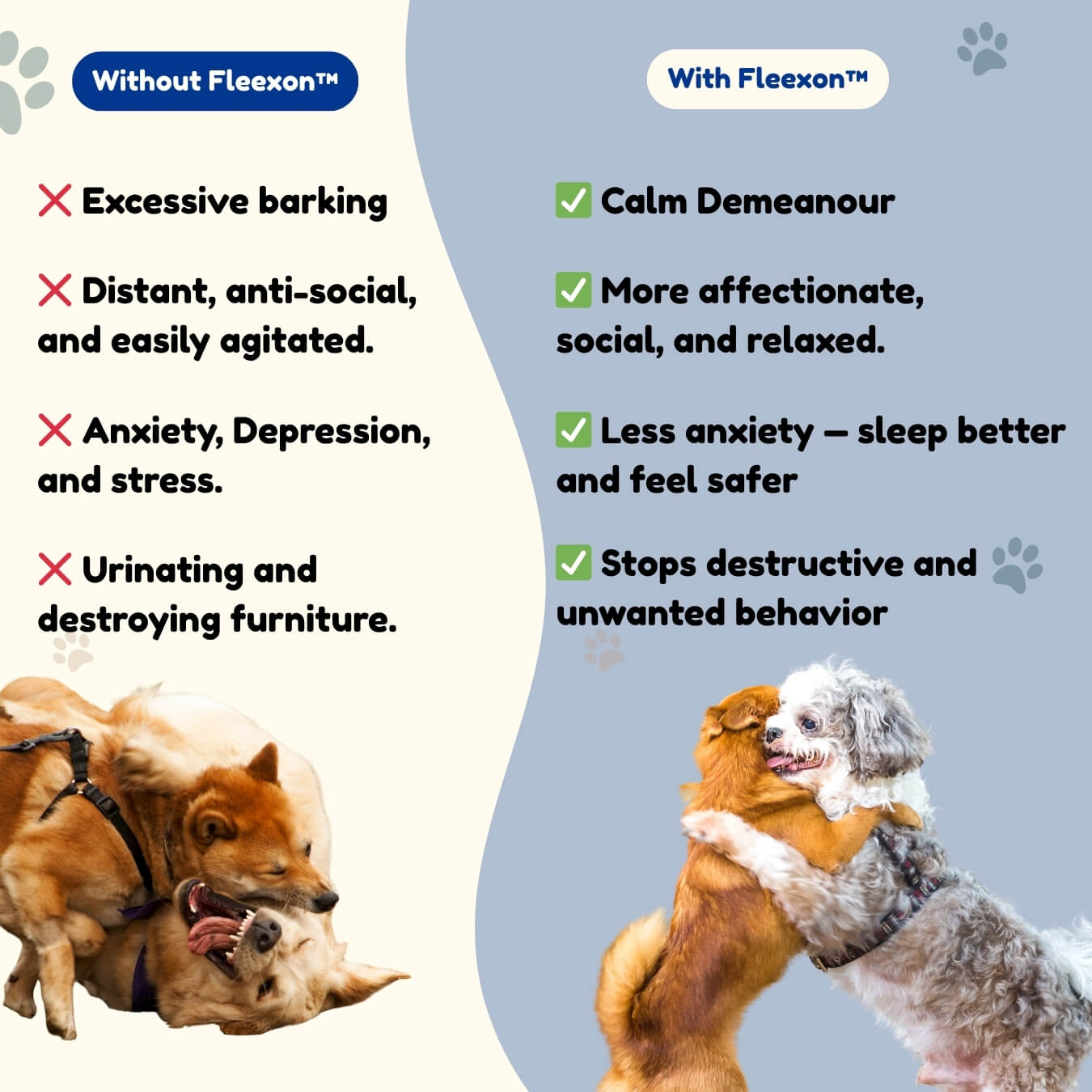 Fleexon™ – 12 Month Flea & Tick Shield